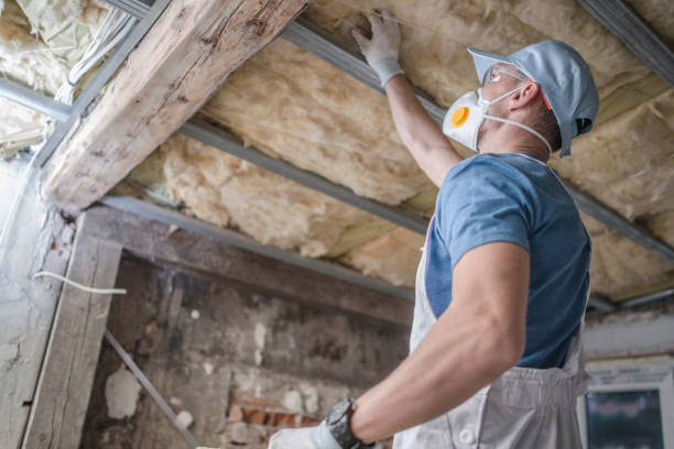 Best Spray Foam Insulation  in Woodmoor, CO